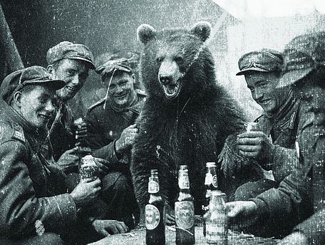 Essay