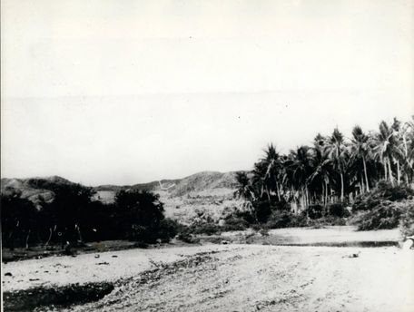 Schwarz/Weiß Foto Strand mit Palmen
